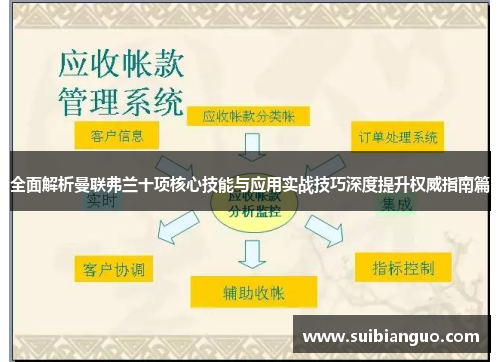 全面解析曼联弗兰十项核心技能与应用实战技巧深度提升权威指南篇